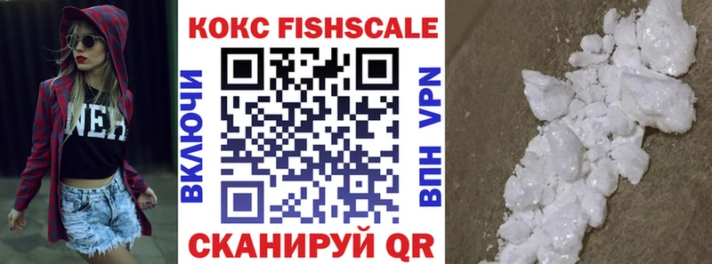 Кокаин 98%  hydra как войти  Светлогорск  дарнет шоп 