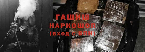 гашик Дмитров