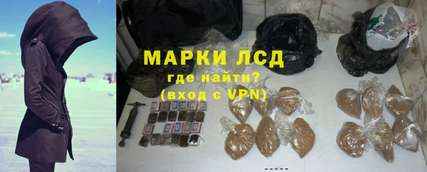 гашик Дмитров