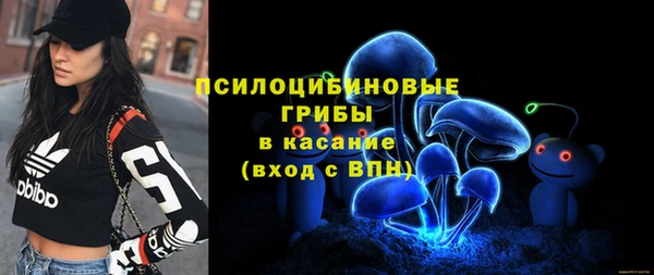 винт Протвино