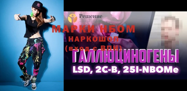 гашик Дмитров