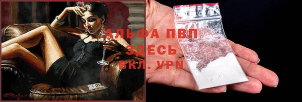 гашик Дмитров