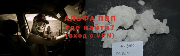 гашик Дмитров