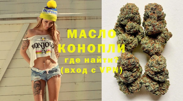 гашик Дмитров