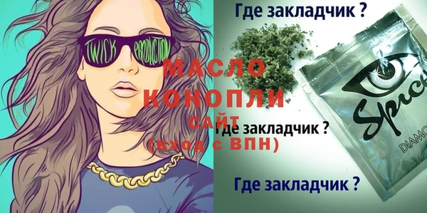 гашик Дмитров