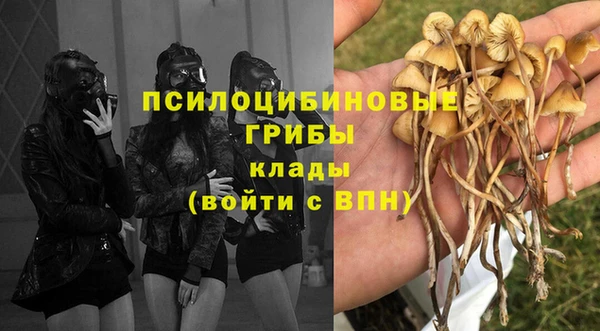 винт Протвино