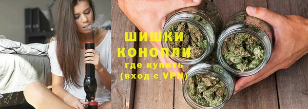 гашик Дмитров